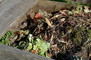 Compost contents